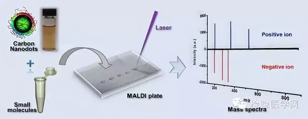 当质谱技术应用于医学检验……