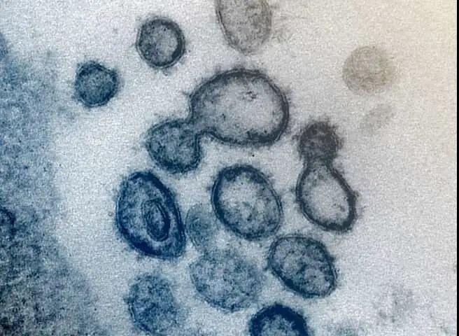 【重磅】美国科学家：太阳光会很快摧毁冠状病毒