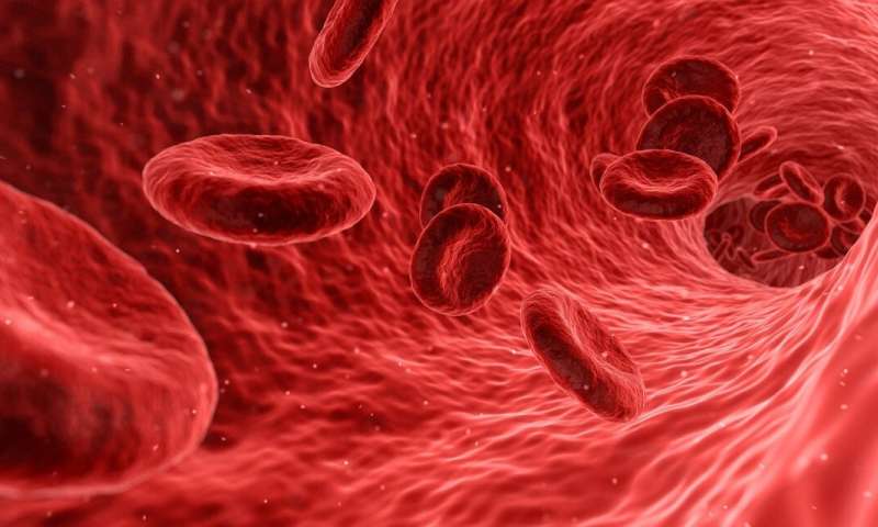 【研究】生物材料的免疫控制可以减少植入物的排斥反应