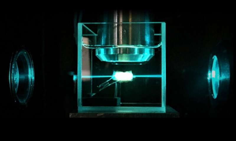 【新技术】3D肿瘤显微镜可对肿瘤组织进行三维角度分析，简化肿瘤诊断！价格便宜易操作！