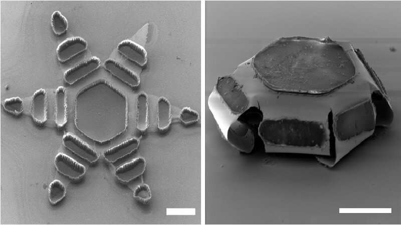 【Science子刊】约翰·霍普金斯大学创造灰尘大小设备，可协助药物在胃肠道停留24小时之久!