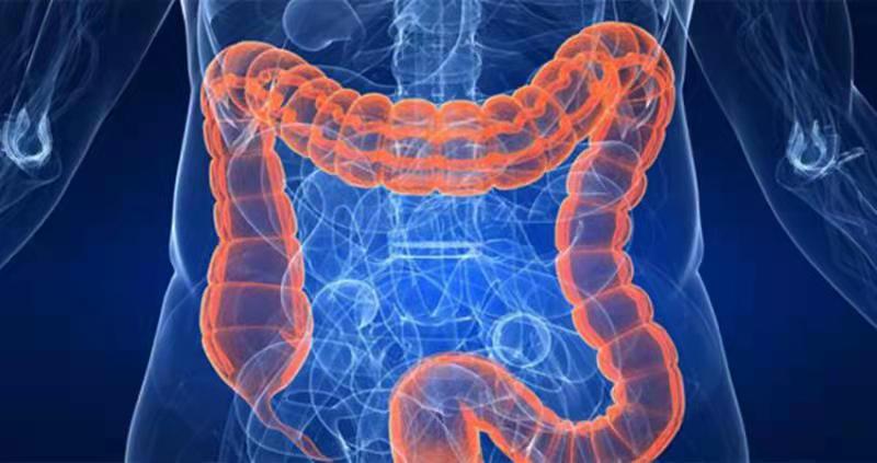 【PNAS】如何让肠癌患者得到更有效治疗？科学家发现通过激活一种蛋白物质能够大幅提升药物的作用！