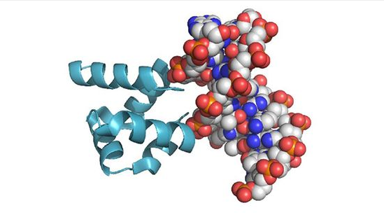 【Nature子刊】从根源解决耐药还得靠蛋白质！