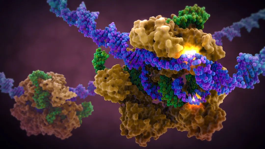 【Nature子刊】大改进！新Cas9模型定位DNA切割位置，预测脱靶概率——朝着更高精度的基因编辑前行！