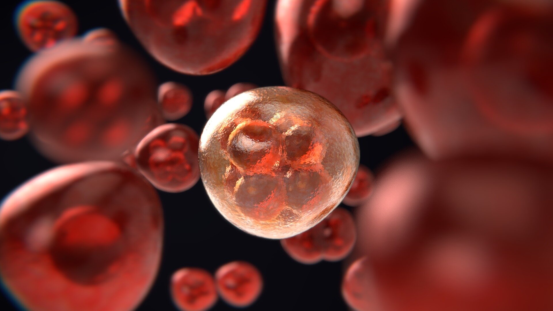 【Metabolites】多组学视角：癌症并不像曾经认为的那样具有遗传性