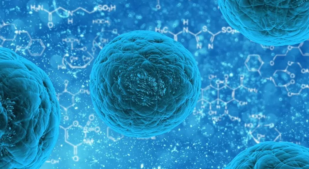 新发现！重庆医科大学揭示三阴性乳腺癌转移机制和靶向治疗策略