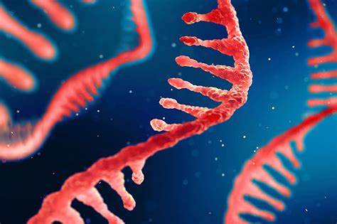 【Nature子刊】浙江大学刘帅团队开创新途径：脂质纳米颗粒助力器官靶向mRNA治疗！