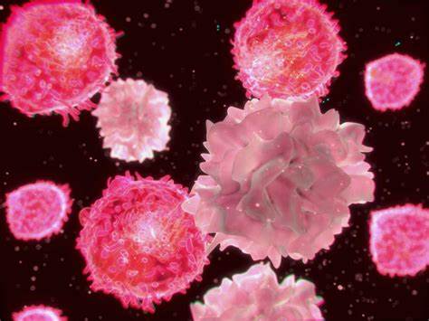 【Nature子刊】新突破！浙江大学钱鹏旭团队揭示造血干细胞可用于骨髓靶向白血病药物递送