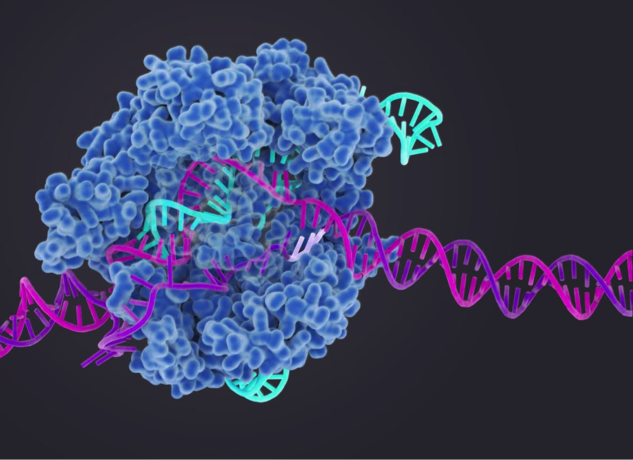 【Nature子刊】破解癌症耐药之谜！费腾团队利用CRISPR揭示靶向策略，重塑化疗新希望！