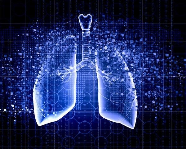 转移重要机制！福建医科大学发文：揭示肺腺癌治疗新生物标记物和有效靶点