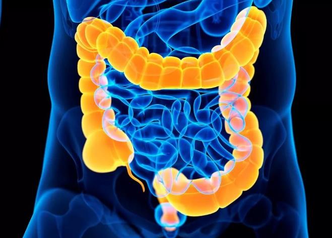 促进肿瘤生成和转移！郑州大学发文：结直肠癌干预的潜在生物标志物和治疗靶点
