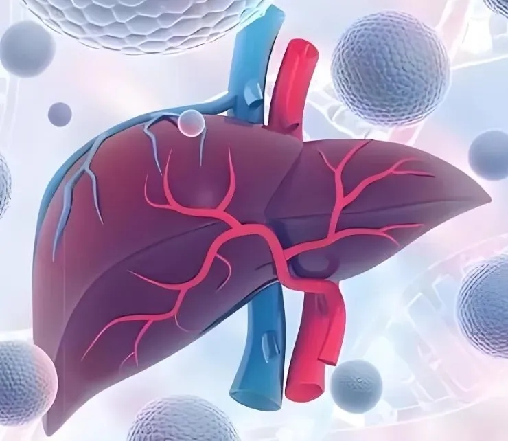 新分子治疗靶点！暨南大学汤绍辉教授团队：肝癌治疗潜在策略