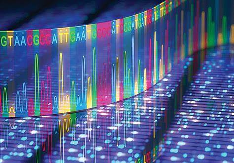 直接RNA测序解锁m6A，中国科学家揭示细胞命运调控新机制