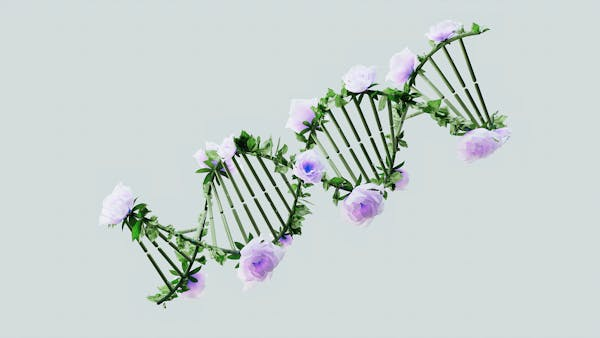 VAT1基因特征：首都医科大学为胶质瘤治疗开辟新路径