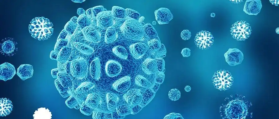 先天免疫激活!美国学者发文:治疗骨肉瘤肺转移的新型免疫治疗策略